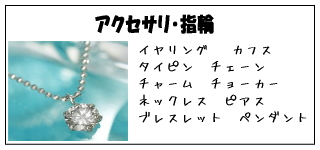 �A�N�Z�T���@�w��